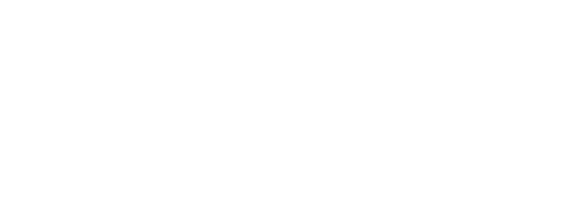 DSW logo